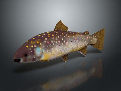 Catfish Carp Sturgeon Bass Freshwater Fish Various Carp Grass Carp Crucian Carp 3d model