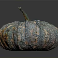 Unique Vibrant Colorful Textured Pumpkin With Blue Orange Green Speckled Rind