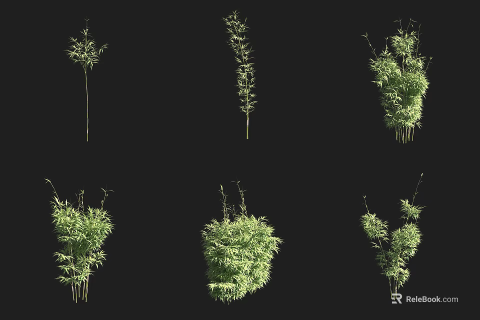 Different Types of Bamboo Plants with Green Foliage and Various Growth Forms 3d model 