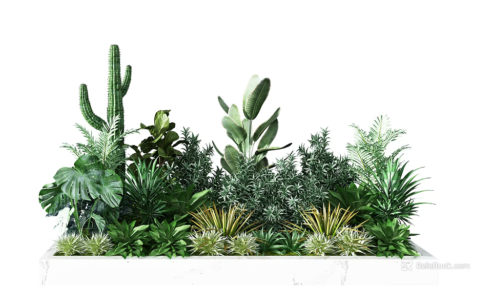 Diverse Green Foliage Arrangement With Cactus Large Leaves Ferns And Succulents 3d model 