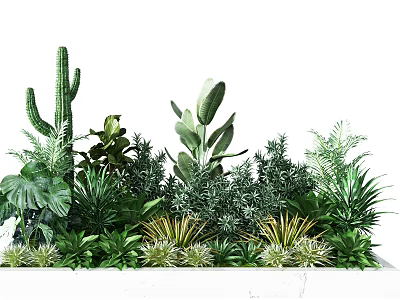 Diverse Green Foliage Arrangement With Cactus Large Leaves Ferns And Succulents 3d model