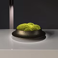 Bonsai Plant with Green Moss in Black Pot on White Tabletop with Lighting