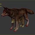 Wild Brown Mother Wolf and Her Small Cub Standing on Shiny Gray Floor