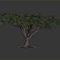 Lush Green Tree With Thick Trunk And Extended Roots In Gray Backdrop 3d model