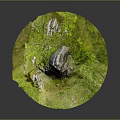Wood Stone Natural Decor With Circular Green Moss Covered Surface