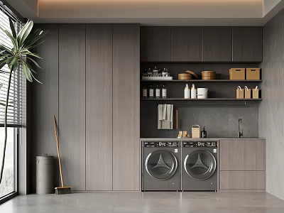 Modern Minimalist Laundry Room With Double Washers Gray Cabinets Storage Shelves And Potted Plant 3d model