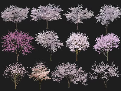 Colorful Flowering Arbor Trees With Pink White Purple Blooms And Various Shapes 3d model