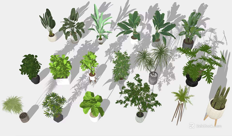 Assorted Bonsai and Potted Plants with Lush Green Leaves for Indoor Decor 3d model 