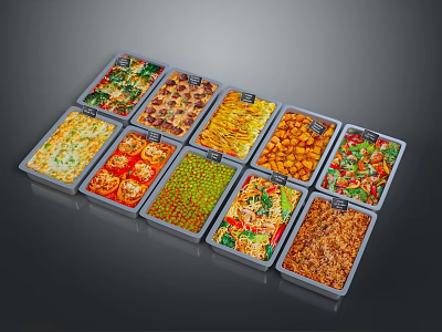 Assorted Delicious Dishes in Square Food Containers Arranged Neatly on 3d model