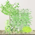 Tall Green Bamboo Plants With Lush Leaves And Surrounding Greenery Against Wall