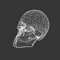 Ancient Human Skull With Detailed Bone Structure On Gray Background