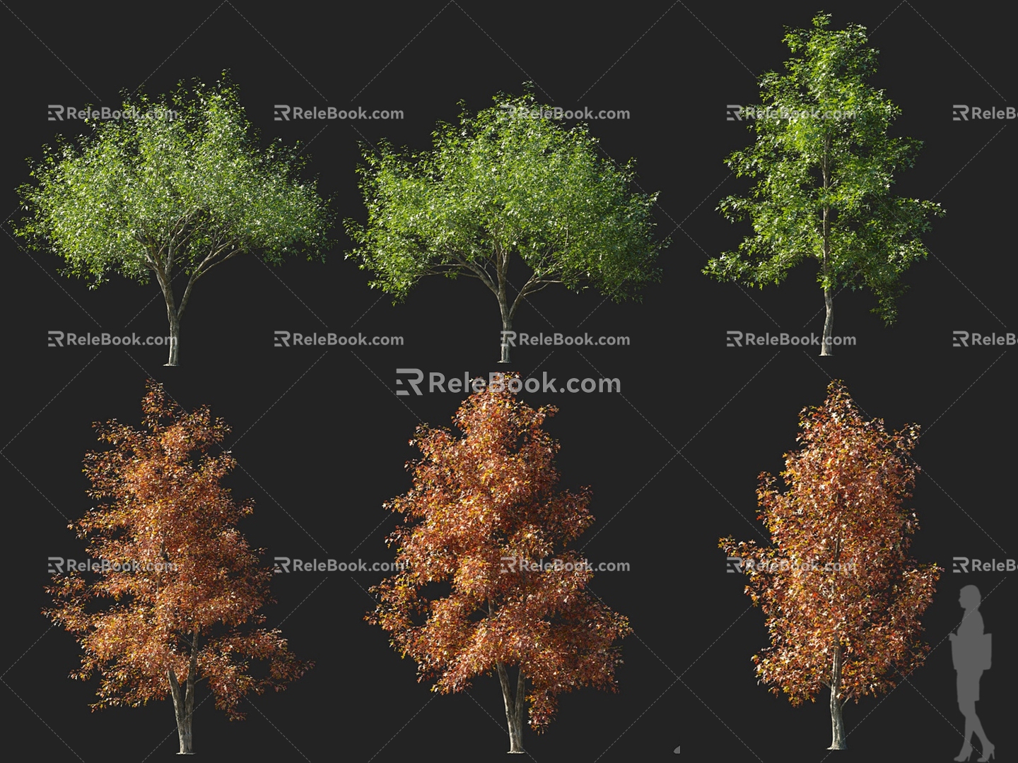 Modern Oak 3d model