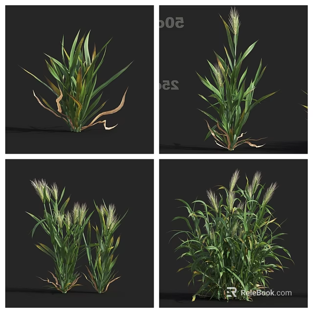 Natural Green Grass Plants With Different Growth Angles And Leaf Details 3d model 