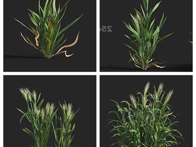 Natural Green Grass Plants With Different Growth Angles And Leaf Details 3d model