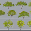 Various Arbor Trees With Different Shapes And Lush Green Foliage Casting Shadows 3d model