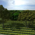 Picturesque Garden Landscape With Lush Trees Neat Flower Beds Green Grass And Sunny Blue Sky