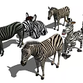 Collection Of Zebra Toy Figures In Different Poses With Black White Stripes 3d model