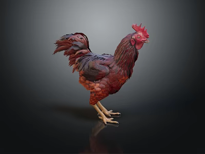 Red Brown Feathered Rooster Standing Elegantly With Bright Red Comb And Tail 3d model