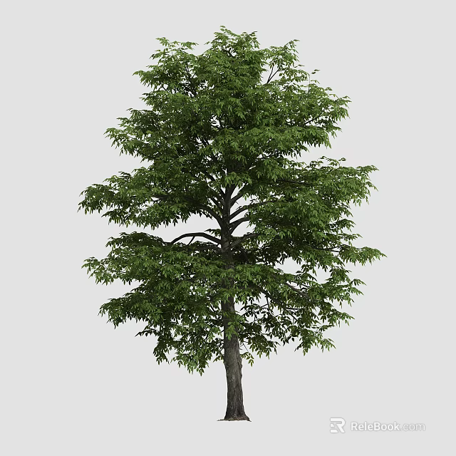 Lush Green Arbor With Dense Foliage And Strong Trunk In Natural Scene 3d model 