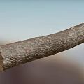 Rustic Stone Wood Log Featuring Natural Bark Texture and Cracked Cross Section