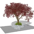 Red Leaf Tree With Stone Base And Green Plants On Woven Mat