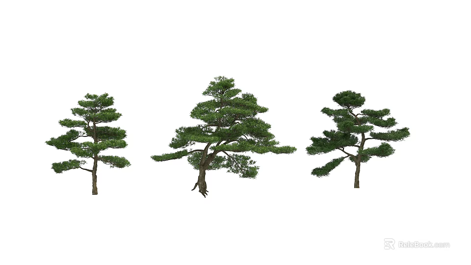 Three Elegant Shaped Arbor Trees With Lush Green Foliage And Natural Trunks 3d model 