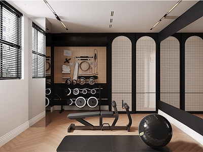 Modern Gym Diablo Home Gym model