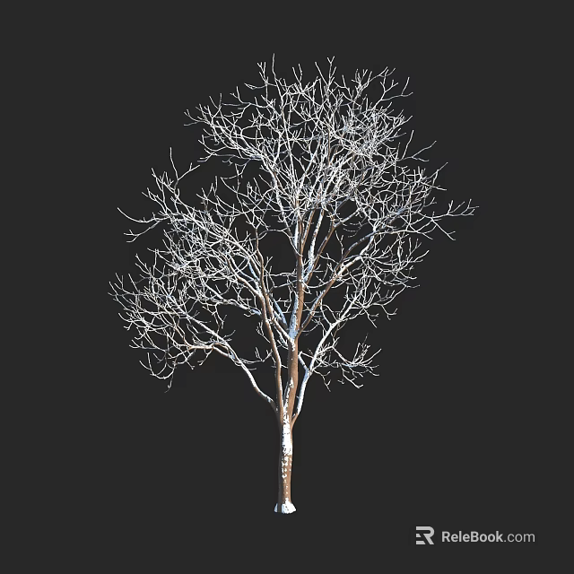 Bare Tree With Intricate Branches Isolated Against Black Background In Winter 3d model 