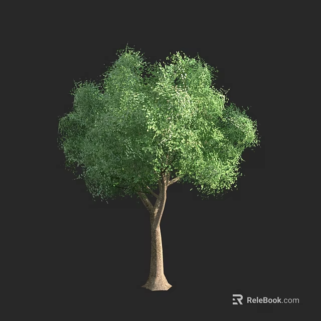 Isolated Arbor With Green Leaves And Brown Trunk On Black Background 3d model 