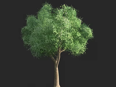 Isolated Arbor With Green Leaves And Brown Trunk On Black Background 3d model