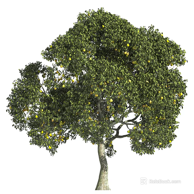 Healthy Lush Fruit Bearing Arbor With Green Leaves And Yellow Fruits 3d model 