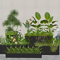 Different Types Of Green Plants In Black Planter Boxes Against White Wall