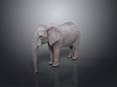 Detailed Elephant Sculpture With Large Ears Long Trunk And Textured Skin On Dark Reflective Surface 3d model