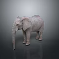 Detailed Elephant Sculpture With Large Ears Long Trunk And Textured Skin On Dark Reflective Surface