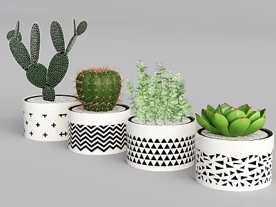 Bonsai Potted Plants With White Ceramic Pots And Black Geometric Patterns 3d model