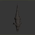 Crocodile Alligator Nile Crocodile carnivore reptile cold-blooded animal reptile 3d model