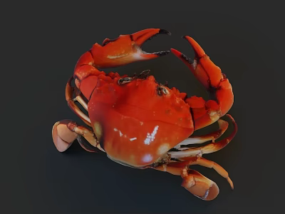 Vibrant Red Aquatic Crab With Large Claws And Detailed Natural Features 3d model