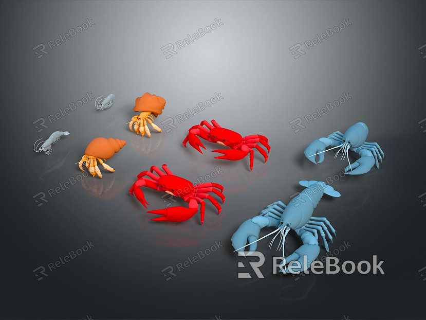 crab sea crab river crab hairy crab bread crab hermit crab big crab small crab marine animal fish model