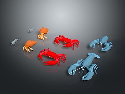 crab sea crab river crab hairy crab bread crab hermit crab big crab small crab marine animal fish model