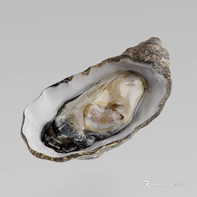 Fresh Open Oyster with Juicy Meat in Natural Shell on Gray Background 3d model 