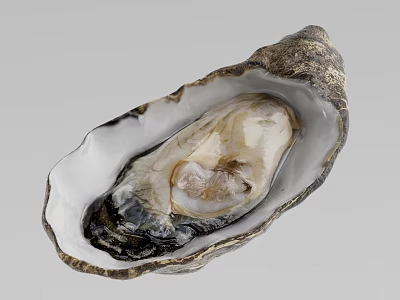 Fresh Open Oyster with Juicy Meat in Natural Shell on Gray Background 3d model