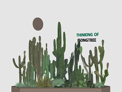 Lush Bonsai Potted Plants With Cactus Succulents And Artistic Arrangement 3d model