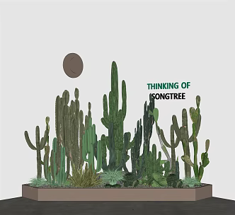 Modern Cactus Plant 3d model