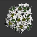 Fresh White Flowers With Green Leaves in Elegant White Vase on Dark Background