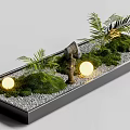 Plant Combination in Black Rectangular Container with Green Moss Palm Leaves Stones and Round Lights 3d model