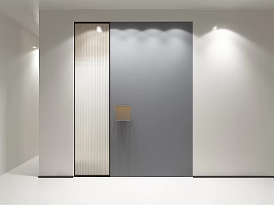 Modern Swing Door Design In Minimalist Interior With Gray Panel And Glass 3d model