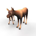 Two Brown Moose Adult and Baby Standing Together on White Background
