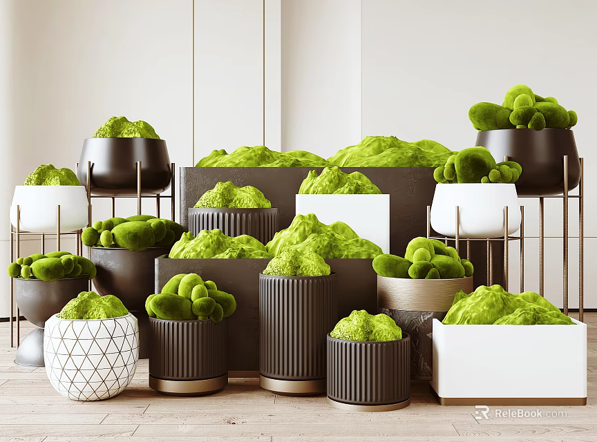 Modern Indoor Potted Plants With Green Foliage And Various Decorative Planters 3d model 