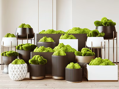 Modern Indoor Potted Plants With Green Foliage And Various Decorative Planters 3d model