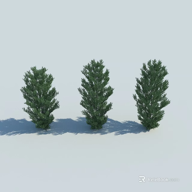 Three Green Arbor Trees With Dense Foliage On Light Background And Shadows 3d model 